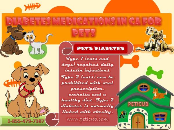 Diabetes Medications In CA For Pets