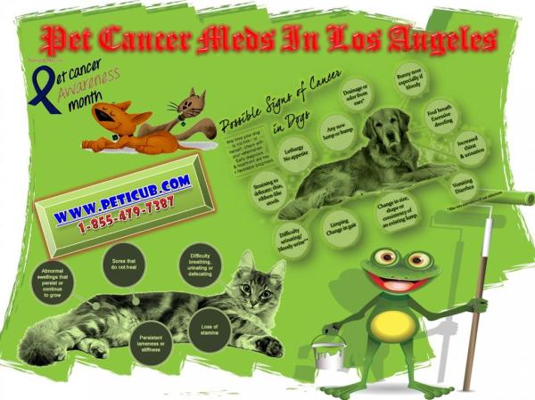 Pet Cancer Meds In Los Angeles